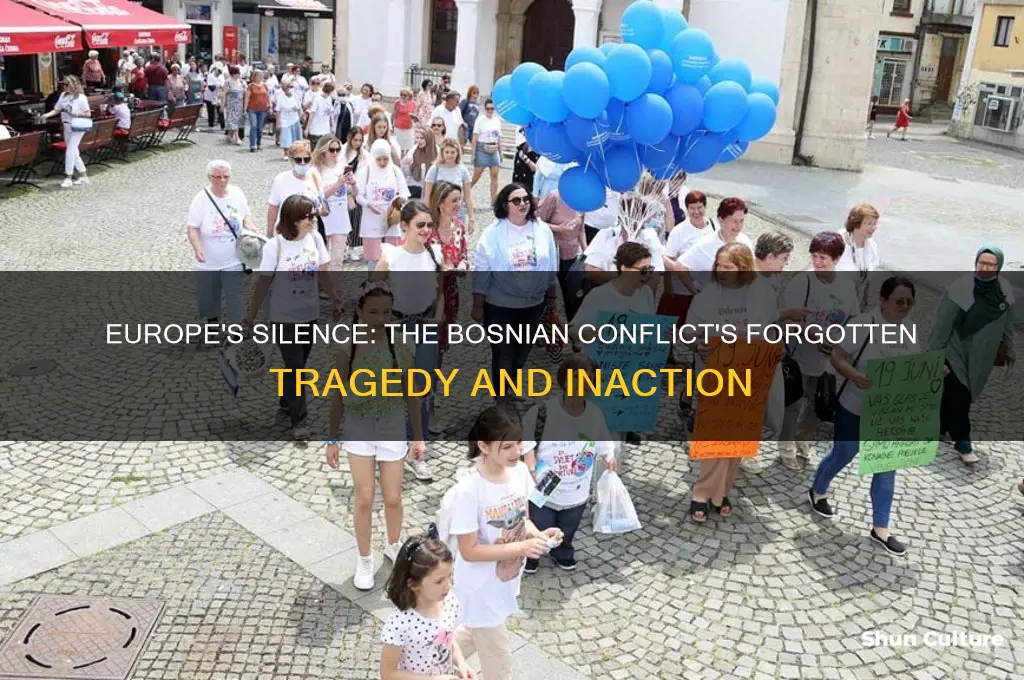 why did europe do nothing during the bosnian conf lict