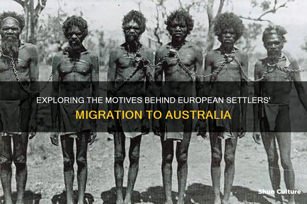 why did european settlers go to australia