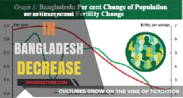 Understanding Bangladesh's Fertility Decline: Factors Driving Lower Birth Rates