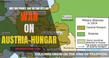 France, Britain, and Austria-Hungary: The Road to War
