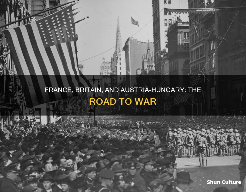 why did france and britain declare war on austria-hungary