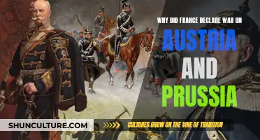 France's War Declaration: Austria and Prussia's Fault?