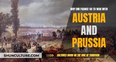 France's War with Austria and Prussia: Why?
