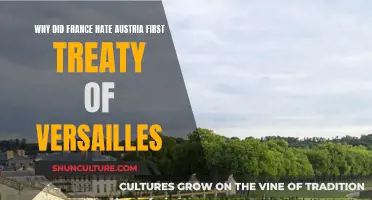 France's Fury: Treaty of Versailles' Impact