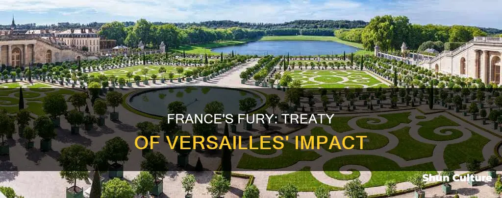 why did france hate austria first treaty of versailles