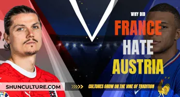 France's Hatred for Austria: Historical Roots of a Conflict
