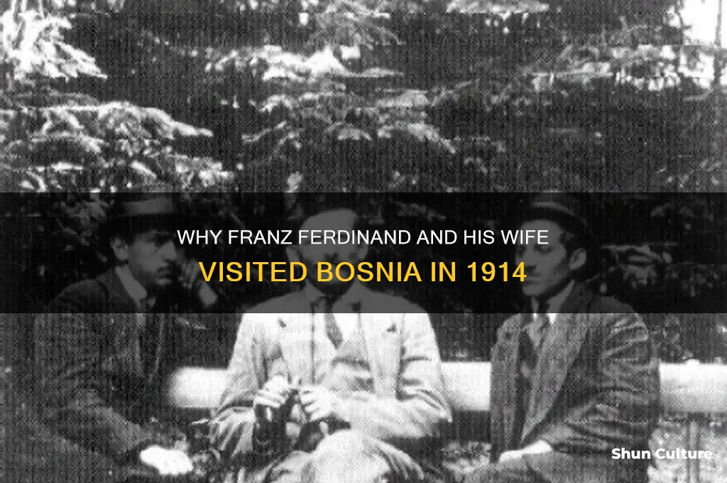 why did franz ferdinand and his wife go to bosnia