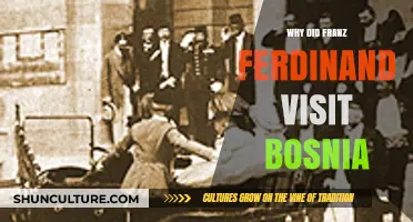 Why Franz Ferdinand's Fateful Bosnia Visit Sparked World War I