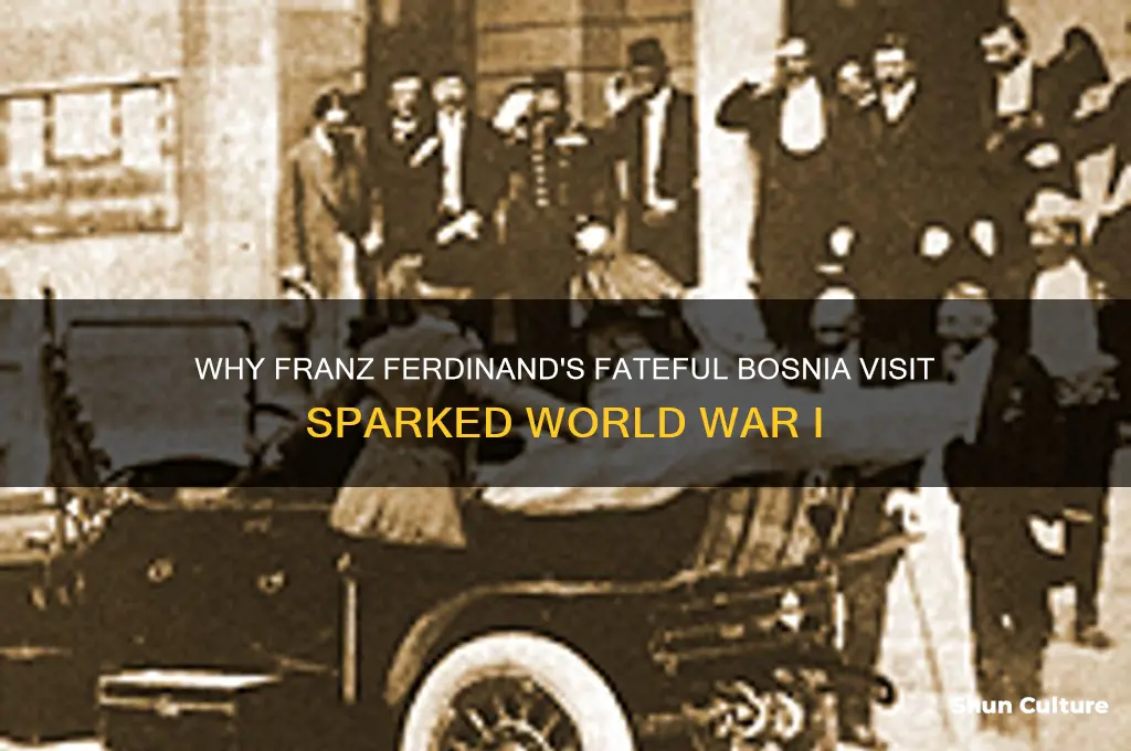 why did franz ferdinand visit bosnia