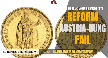 Austerity's Struggles: Franz Joseph's Reform Efforts in Austria-Hungary