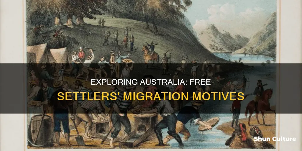 why did free settlers migrate to australia
