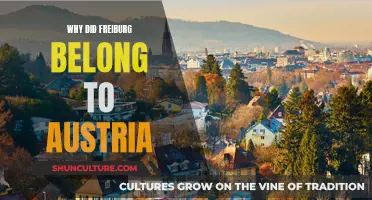 Freiburg's Historical Ties: Exploring Austria's Claim to the City