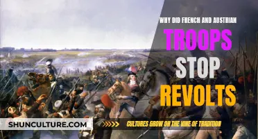 How French and Austrian Troops Crushed Revolts