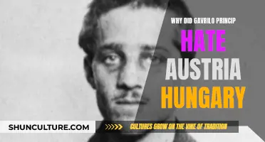 Gavrilo Princip's Hatred for Austria-Hungary Explained