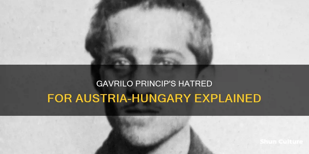 why did gavrilo princip hate austria hungary
