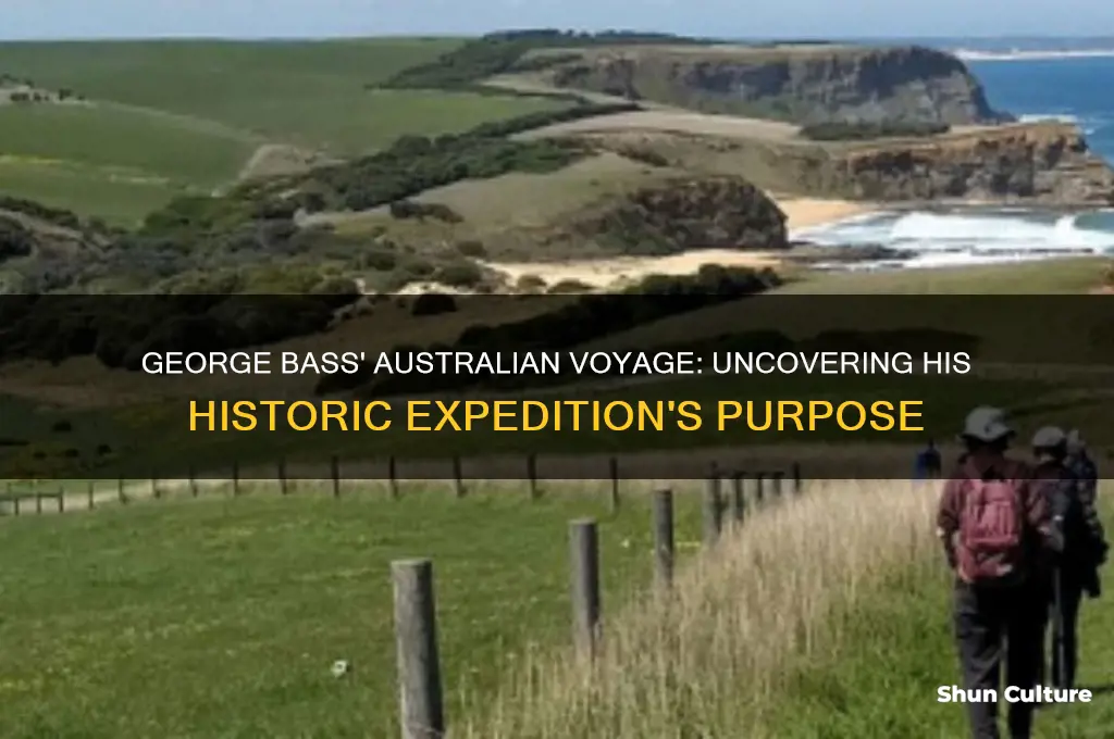 why did george bass go to australia