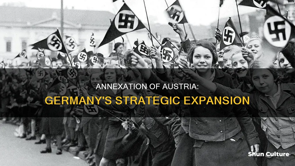 why did germans annex austria