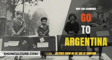 Post-War Exodus: Unraveling the German Migration to Argentina