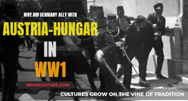 Germany's Fateful Alliance: Austria-Hungary in World War I