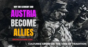 How the German-Austrian Alliance Shaped History