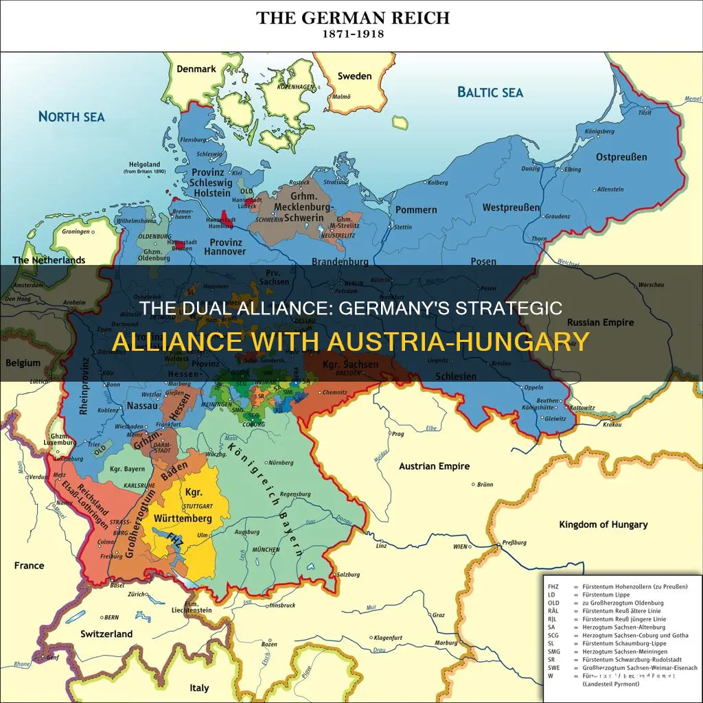 why did germany and austria-hungary form the dual alliance