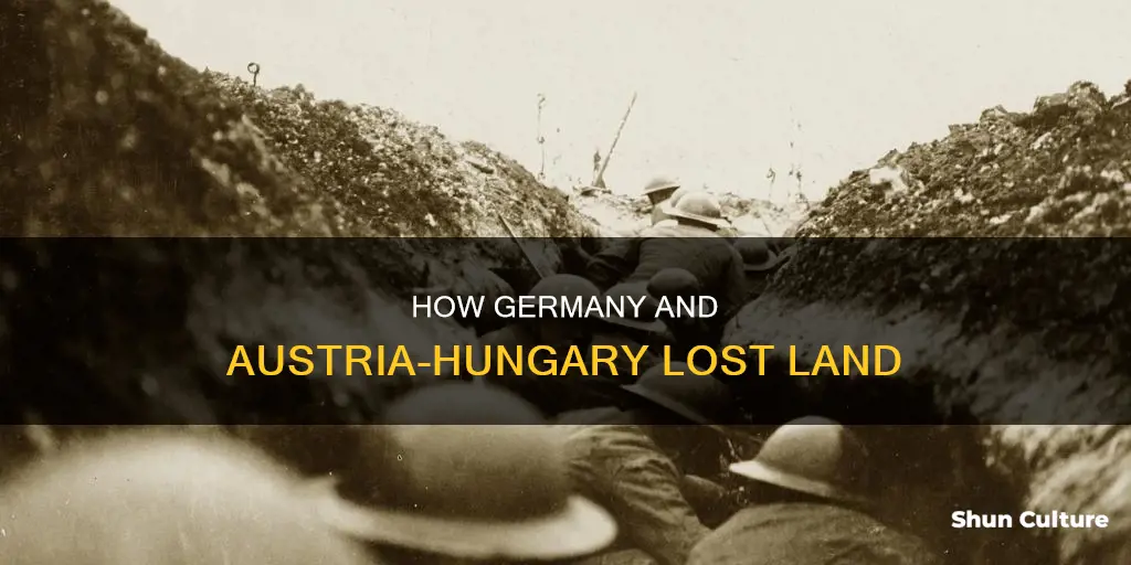 why did germany and austria hungary lost land