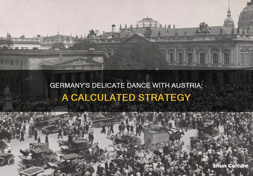 why did germany avoid wounding austria too severely
