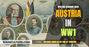 Germany's Support for Austria: Why and How?