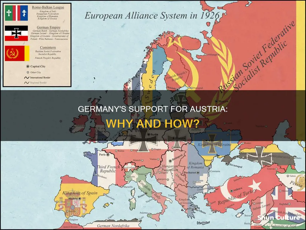 why did germany back austria in ww1