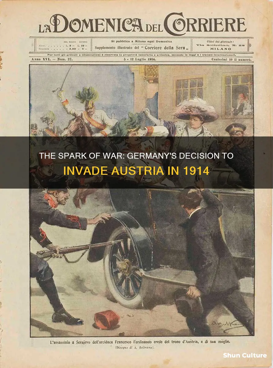 why did germany declare war to austria in 1914