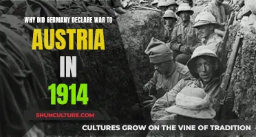 Germany's War Declaration: Austria in 1914