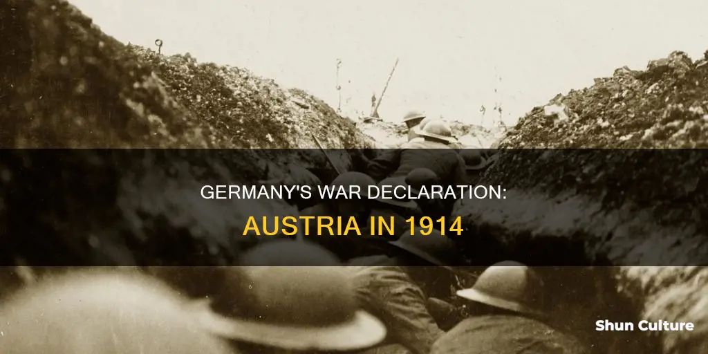 why did germany declare war to austria in 1914