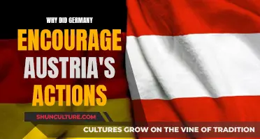 Austria-Germany: Why Berlin Encouraged Vienna's Actions?