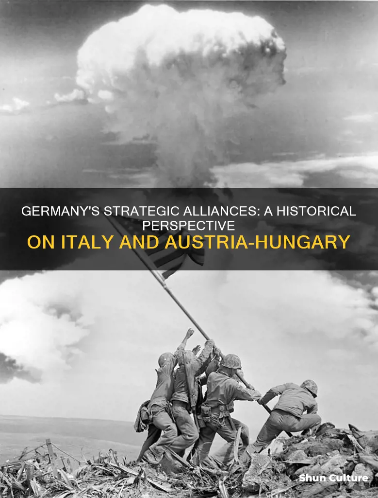 why did germany form alliances with italy and austria-hungary