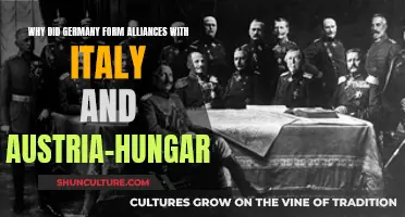 Germany's Alliance Strategy: Italy & Austria-Hungary