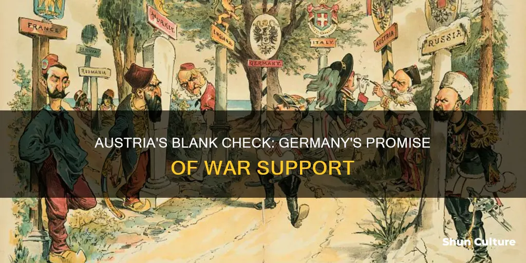 why did germany gave austria a blank check
