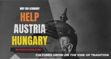 The Complex Web: Germany's Role in the Downfall of Austria-Hungary