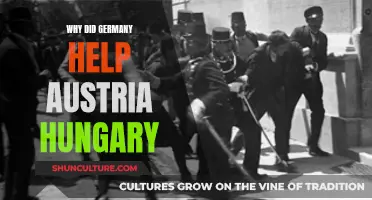 Germany's Support for Austria-Hungary: Complex Alliance Dynamics
