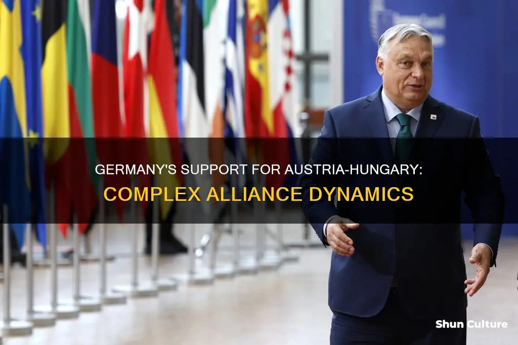 why did germany help austria hungary