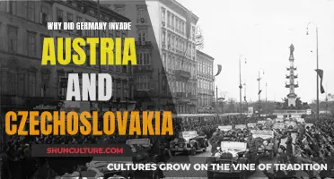 Germany's Invasion of Austria and Czechoslovakia: Reasons Explained