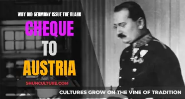 Germany's Blank Cheque: Backing Austria's War Efforts