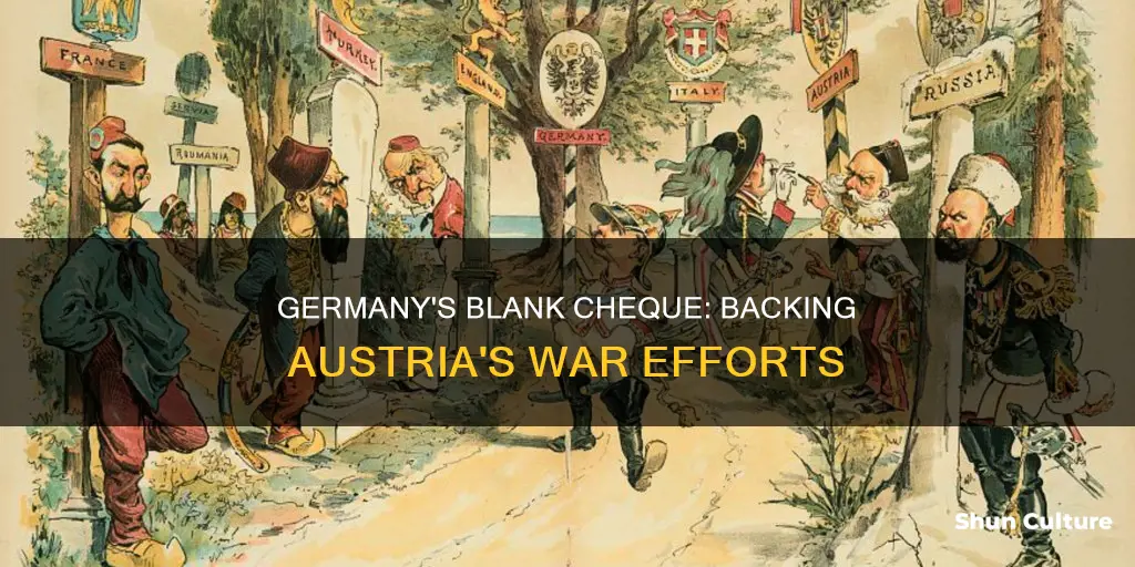 why did germany issue the blank cheque to austria