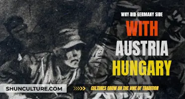Germany's Alliance: The Austro-Hungarian Connection Explained
