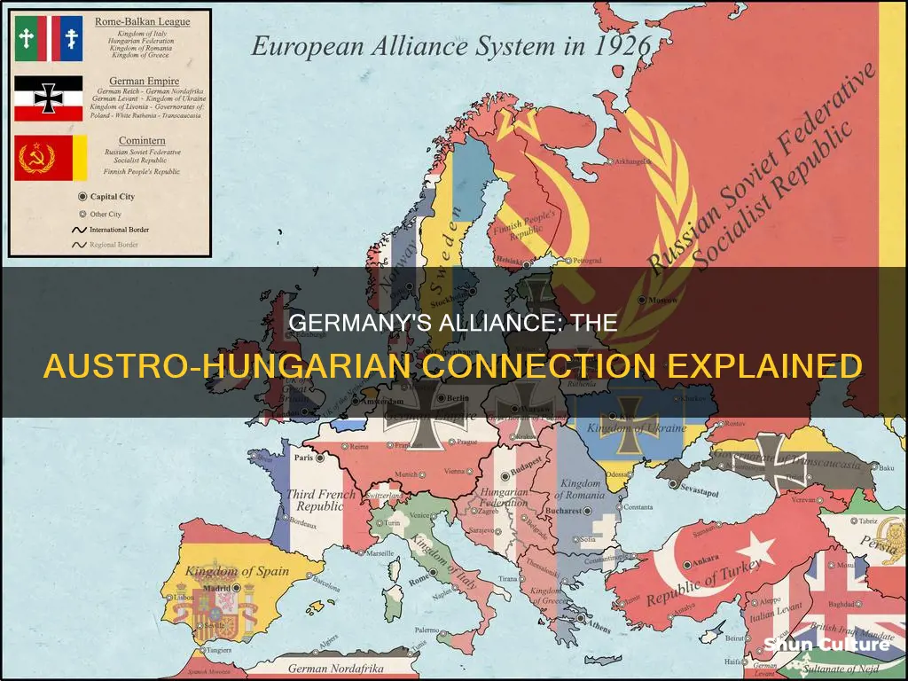 why did germany side with austria hungary