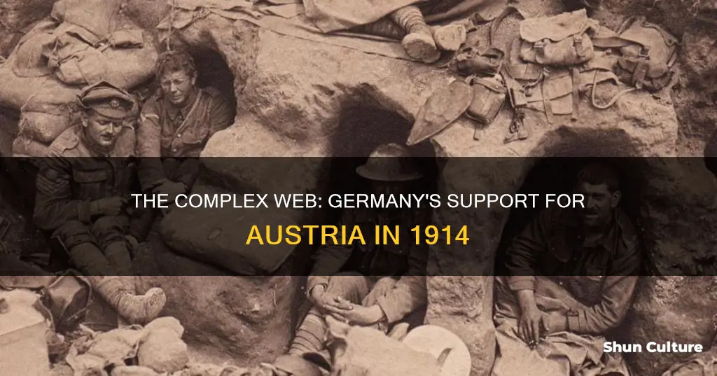 why did germany support austria against serbia in 1914