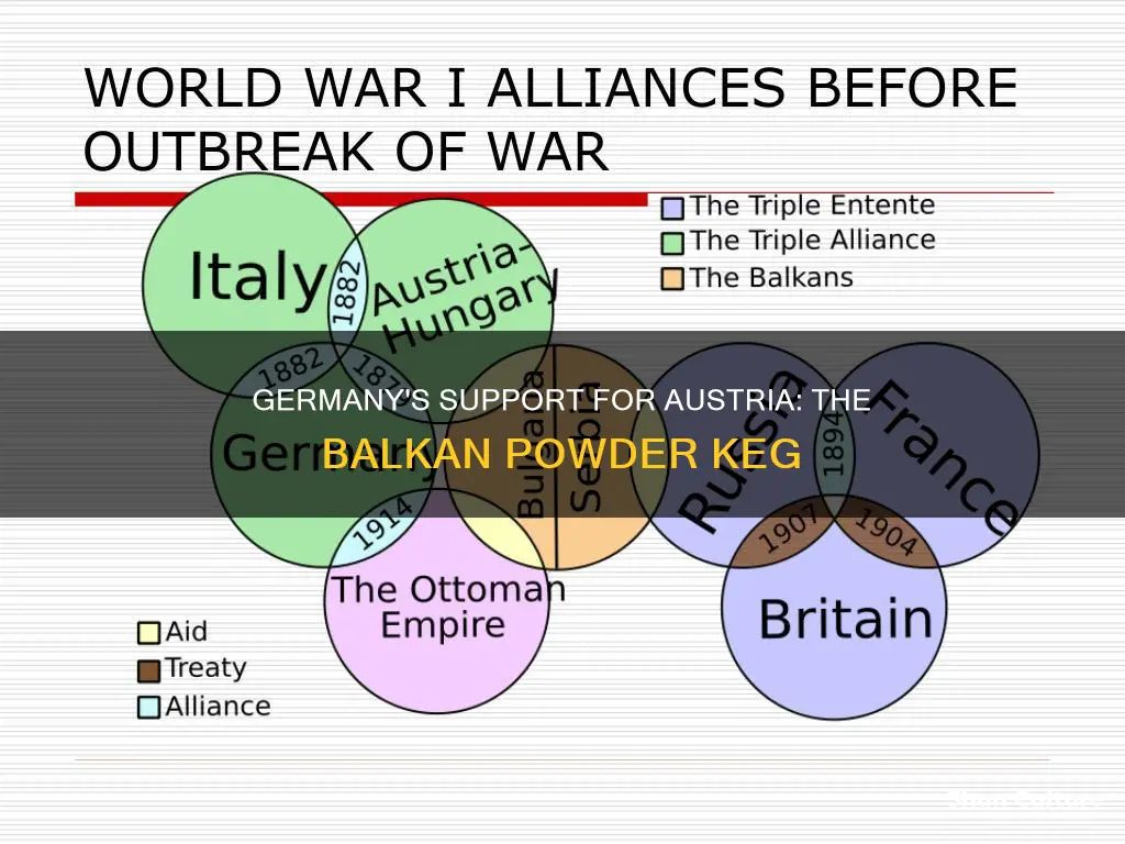 why did germany support austria against serbia in 1914