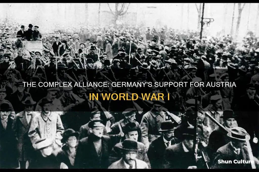 why did germany support austria in ww1