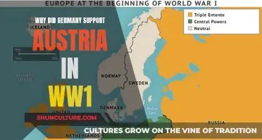 Germany's Support for Austria: The Alliance Factor in WWI