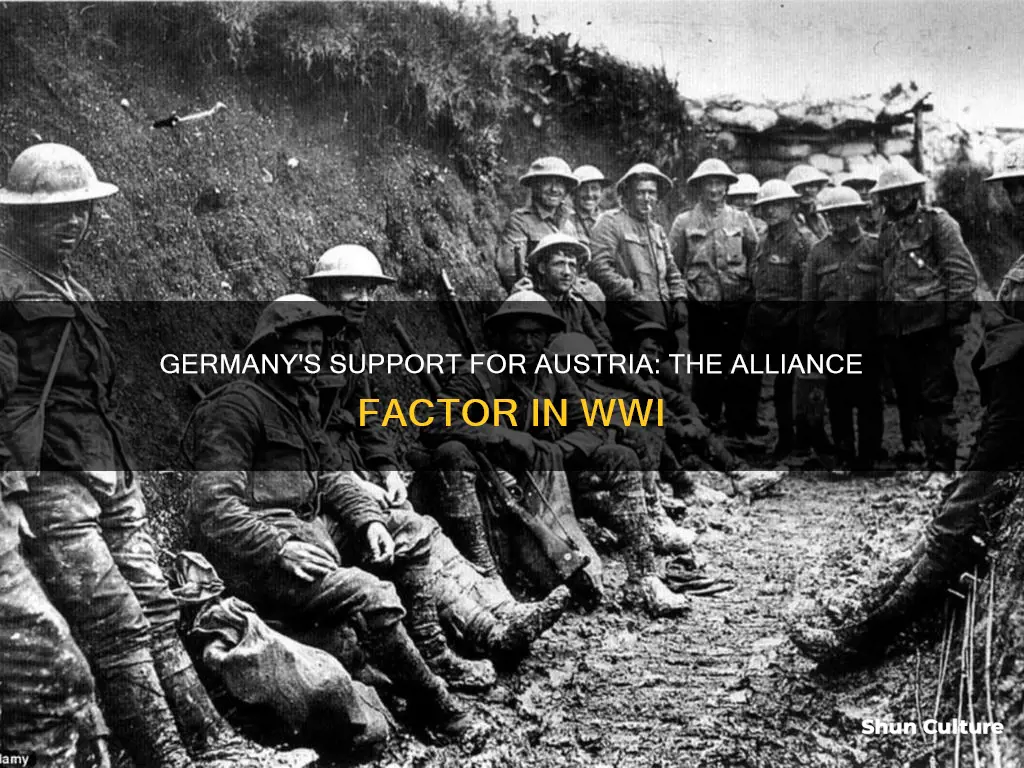 why did germany support austria in ww1