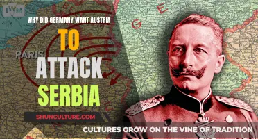 The Great War's Spark: Germany's Strategy to Provoke Serbia